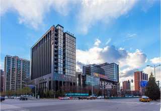 四川杂粮小米去哪买